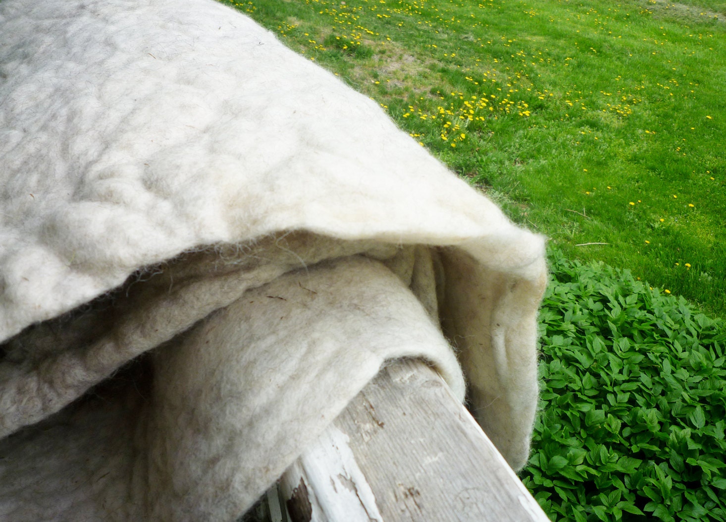 Organic Wool Felt 24" x 12" at 1/2" thick