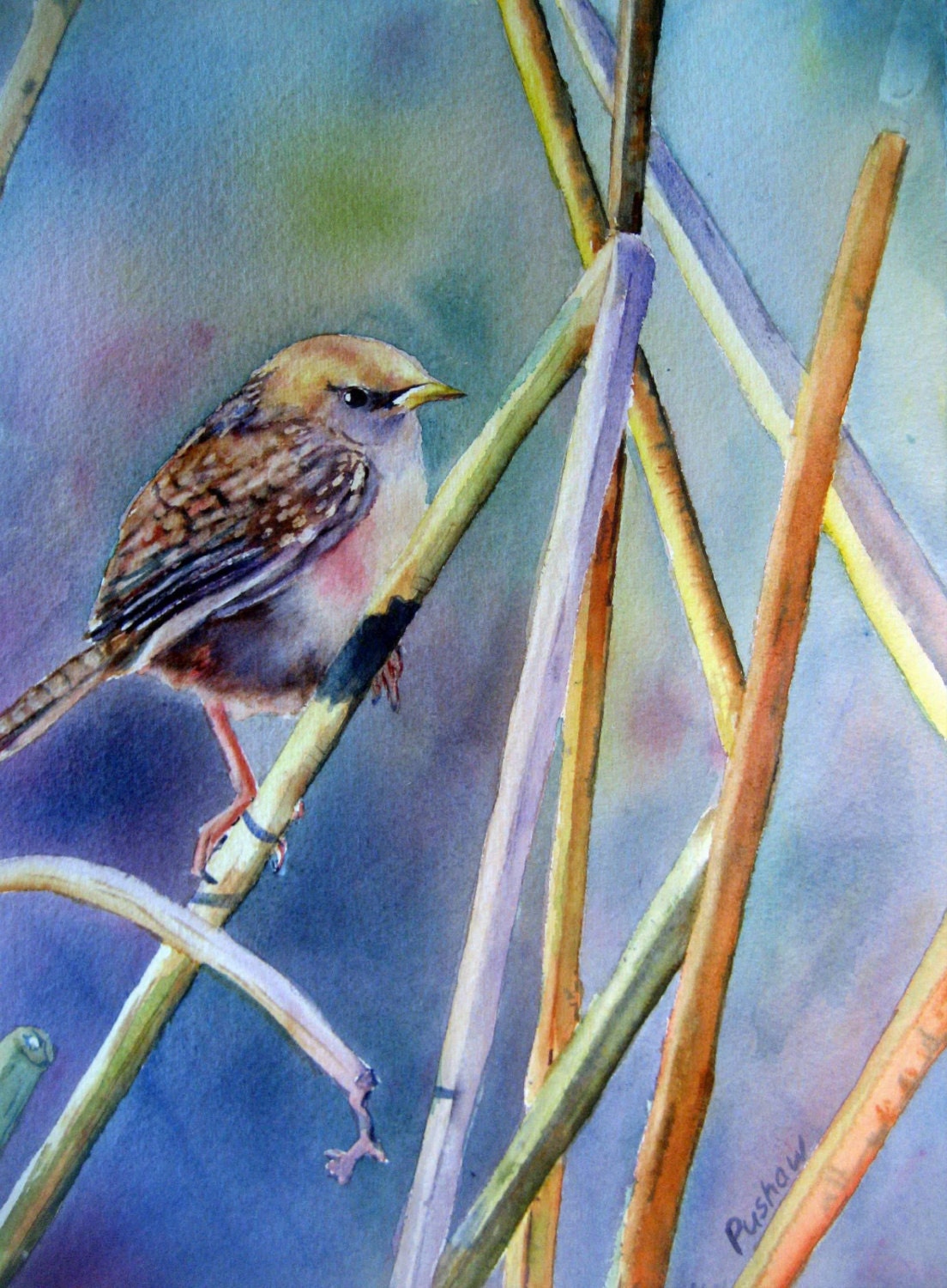 Watercolor original , Marsh Wren at Sunrise/ gift for bird lover/ 15x11 without mat. With mat 18x14
