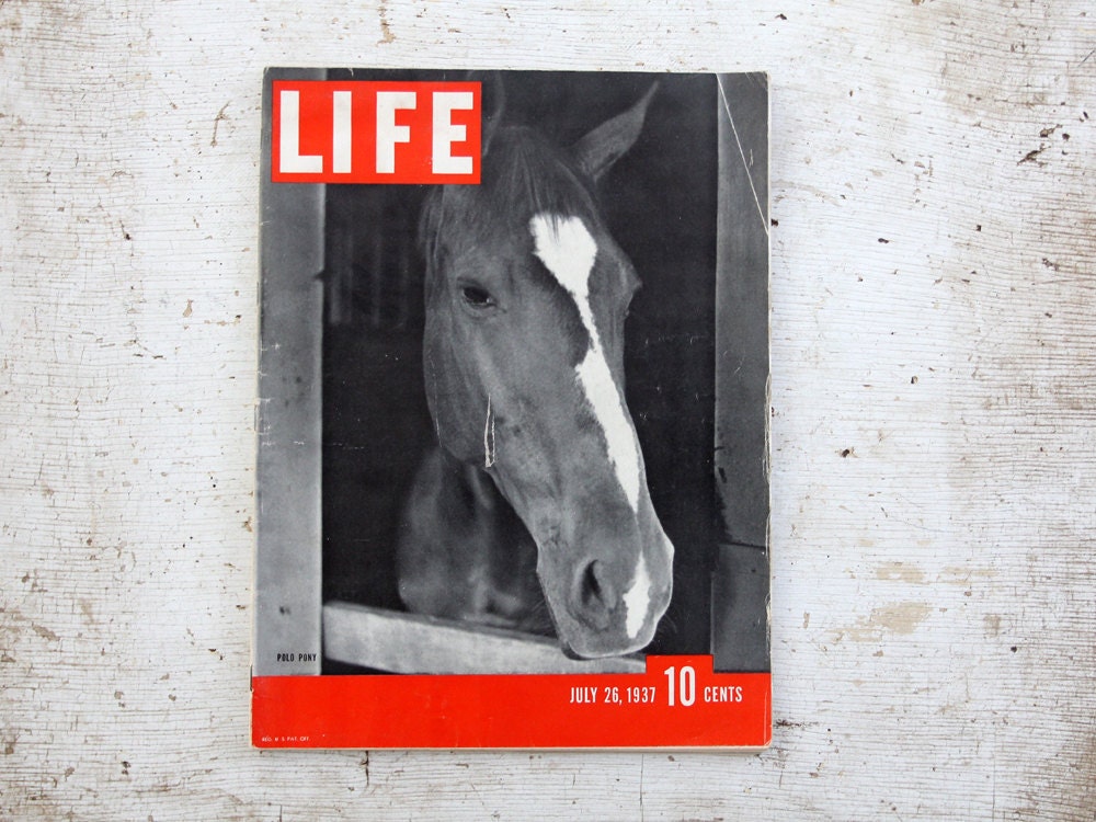 Vintage Life Magazine Issue July 26, 1937  / Polo Pony Cover