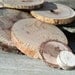 6 CUSTOM ORDER Reclaimed Branch Slices