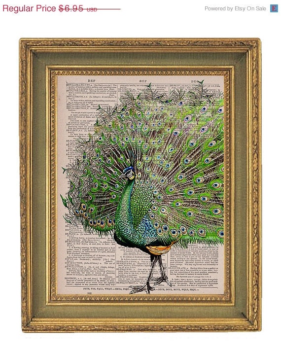 Charming Peacock Print - Vintage  Book  Print Page Art Print -  8x10