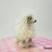 Miniature White Poodle 1 Inch - Tiny Crochet Micro Amigurumi Dog stuff Animal - Made To Order