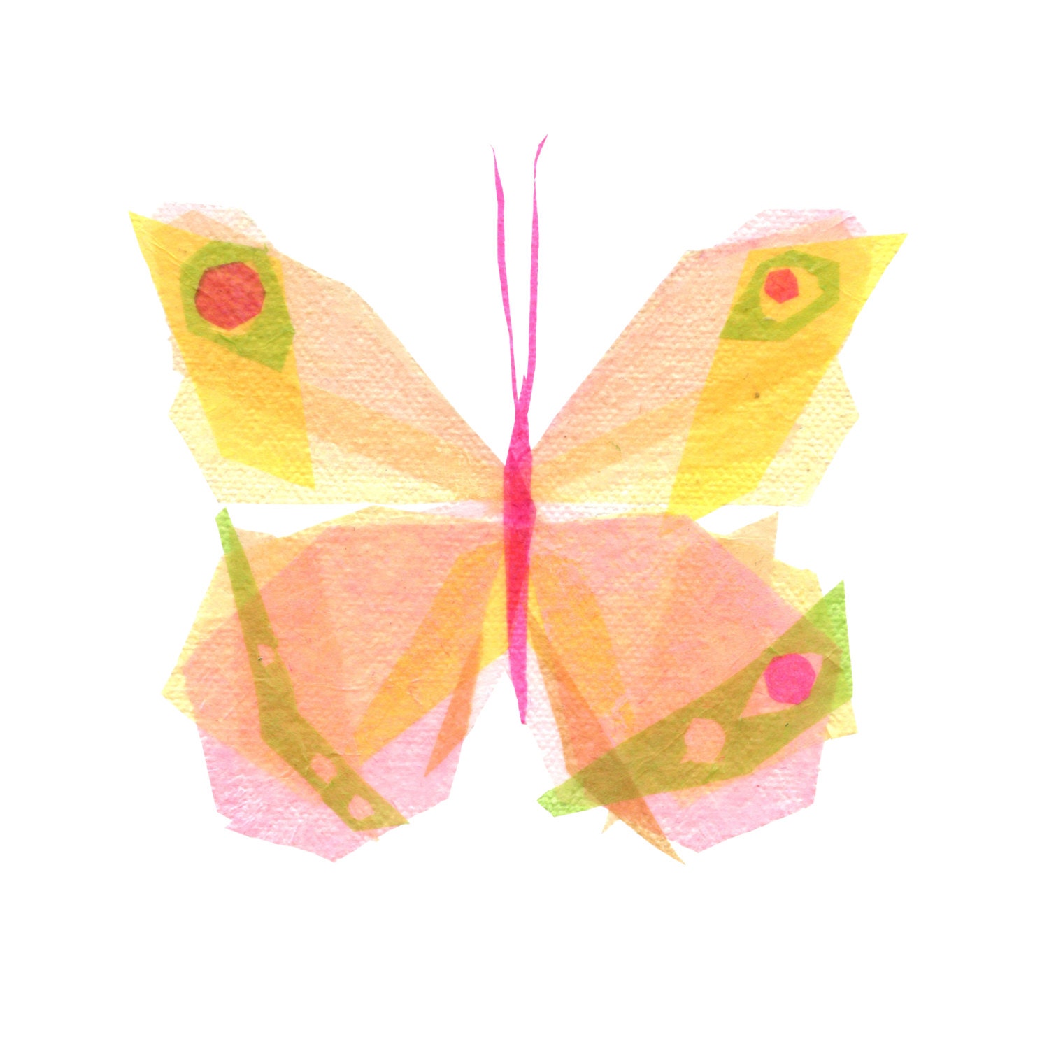 julia butterfly
