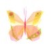julia butterfly