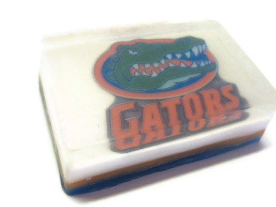 Sport Soap, teams, college mascots, professional sport team logos, Father's Day gift idea