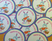 Easter Bunny Favor Tags, Easter, Bunny, Easter Gift Tags, Classroom Favors, Easter Holiday, Easter Birthday