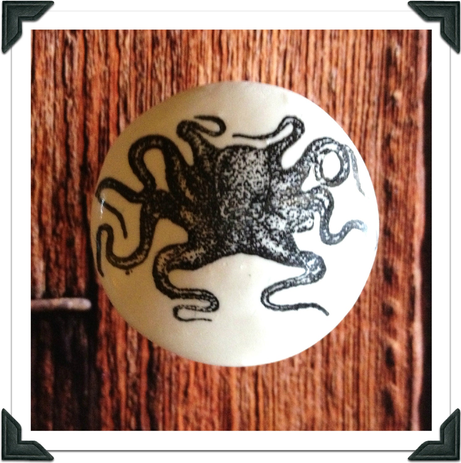 Octopus knob