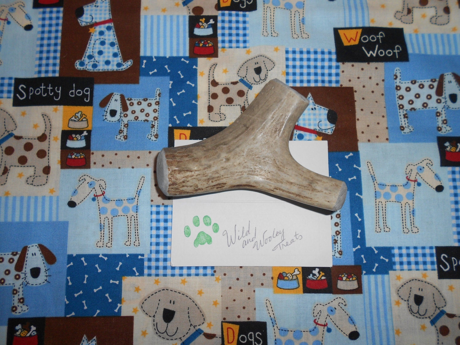 Medium Deer Antler Dog Chew (Lot 1314)