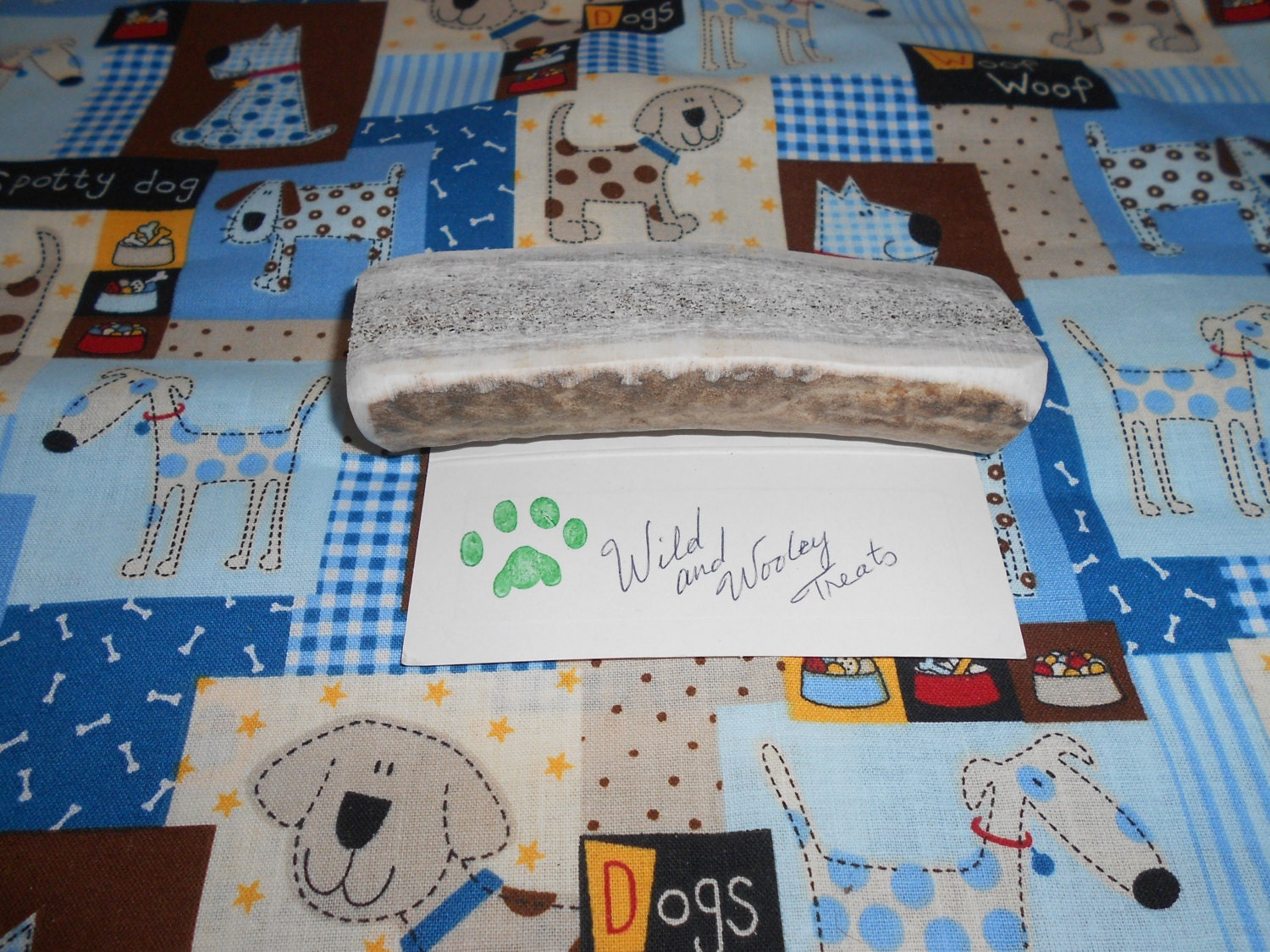 Medium Elk Antler Dog Chew Split (Lot 1318)