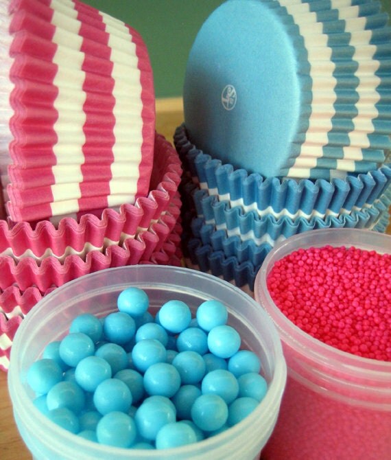 Gender Reveal Cupcake Kit Pink and Blue by MyLittleOtter on Etsy