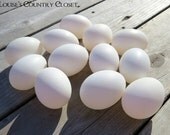 12 Hand Blown White Large Duck Eggs