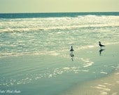 Ocean Photography Sea Seagulls New Jersey Fine Art Photography Aqua Turquoise Shabby Cottage Home Decor Bedroom Nursery