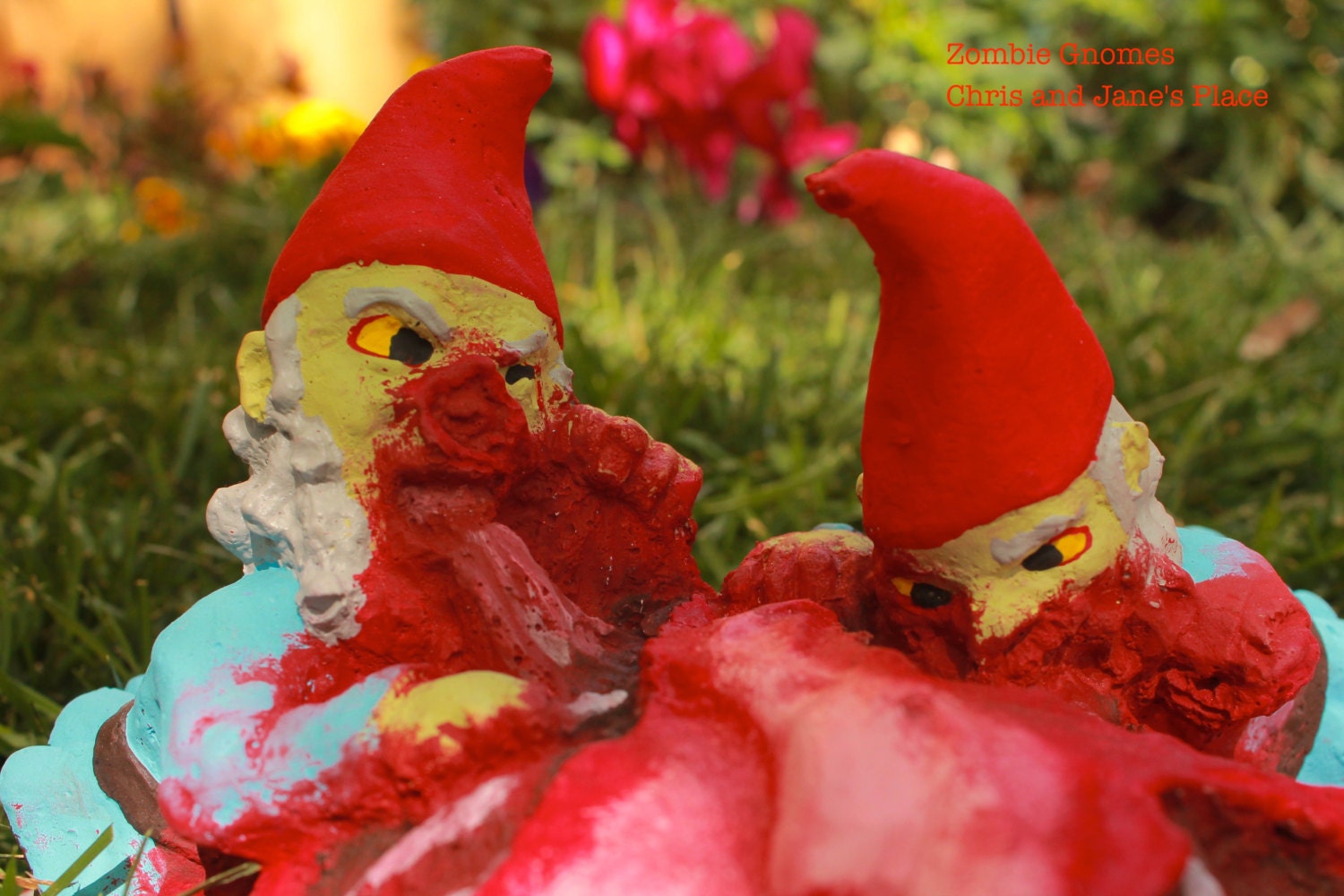 Zombie Gnomes: Bye Bye Birdie  FREE SHIPPING