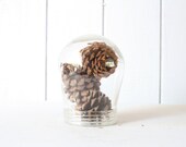 Glass Light Fixture // Display Cloche