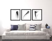 Feather Photo Set, black and white photo, abstract photography, black and white art print photo set home decor wall decor