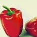 Red BellPeppe 8"x8" Retro Fine Art Wall Decor Food Photograph For Modern Cafe Bar Pub Hotel Restaurant Nursey Home Office