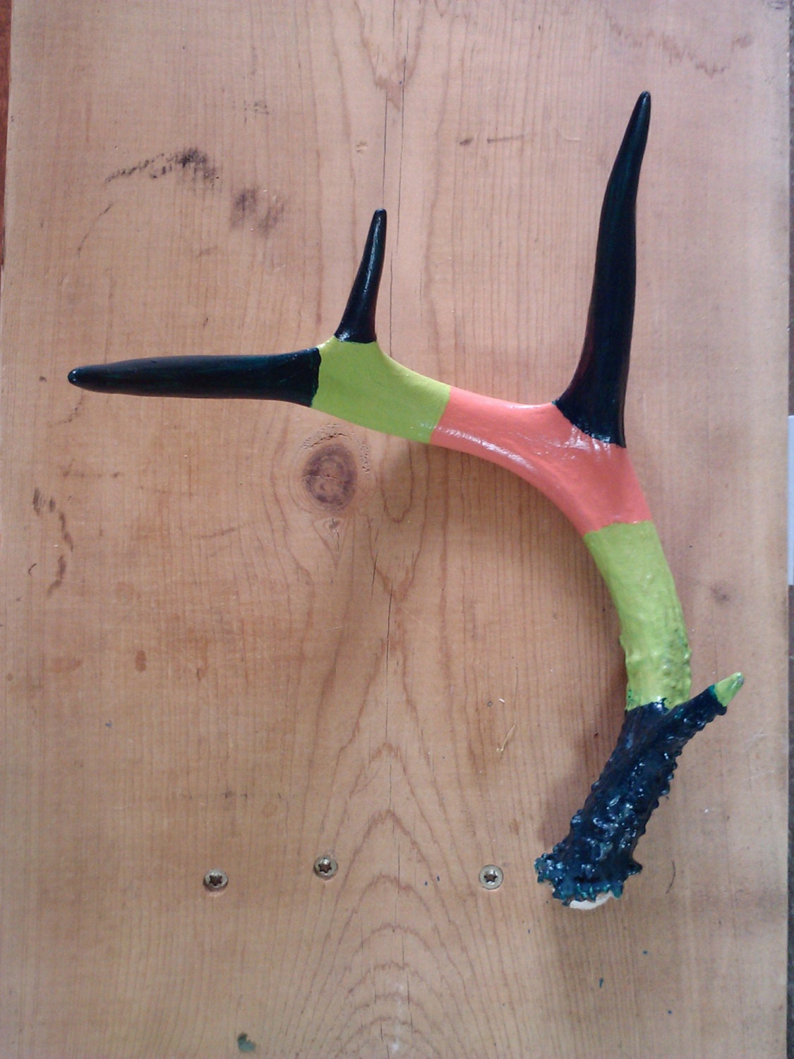 Handpainted, naturally shed whitetail Deer antler