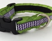 Purple Chevron with Lime Green Double Ruffle 5/8 Dog Collar