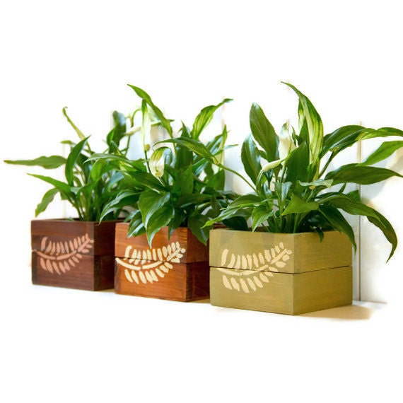 Planters Hand painted Pot Holders, Mothers Day gift