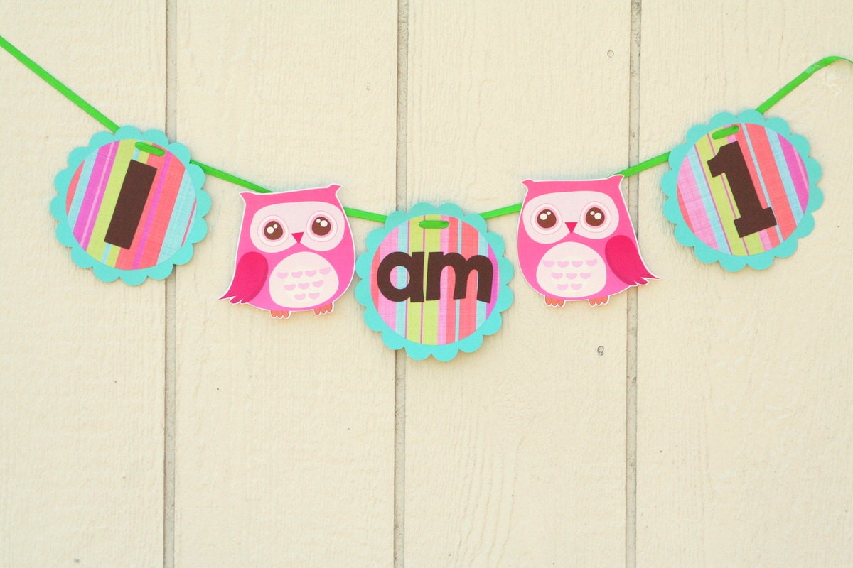 Pink Owl Birthday Party High Chair Banner