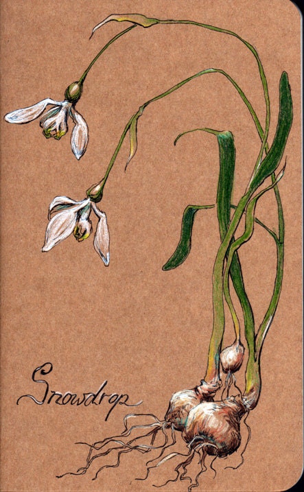 Hand Decorated Moleskine Journal, Snowdrop flower scientific illustration