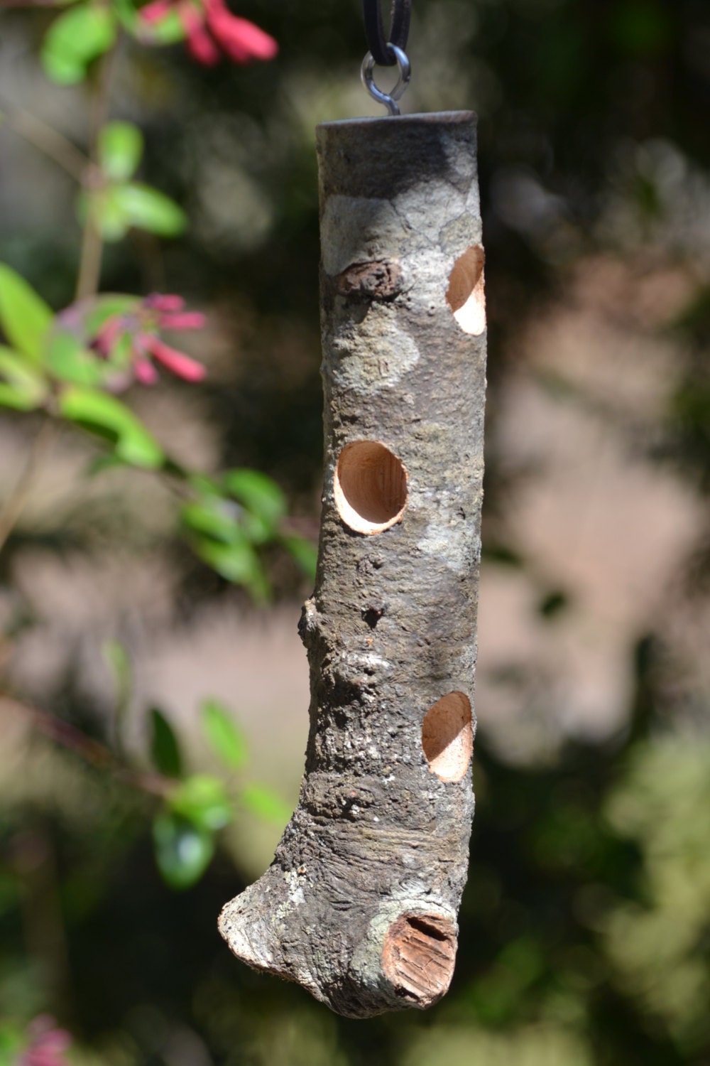Log Bird Feeder For Suet and Peanut Butter