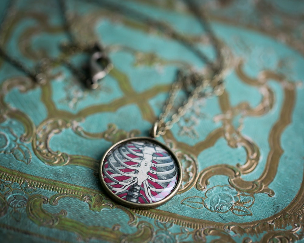 Rib Cage Necklace - Vintage Human Anatomy Illustration - Glossy Resin Charm