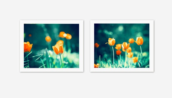 Flower Print Set - 2 two photographs teal orange tulips green blue turquoise wall art peach dark nature modern botanical photos colorful