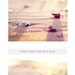 Beach Photography - seashell print sea shell photo cream neutral peach pale pink shore decor wall art - 11x14, 8x10 Photograph, "Bliss"