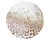 Water drops print 20"x20" Surreal Macro Neutral colors Unusual photo Large