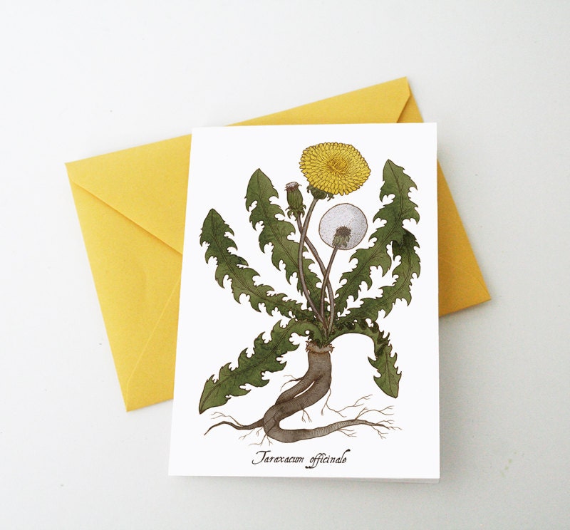 Dandelion Greeting Card - Blank Inside