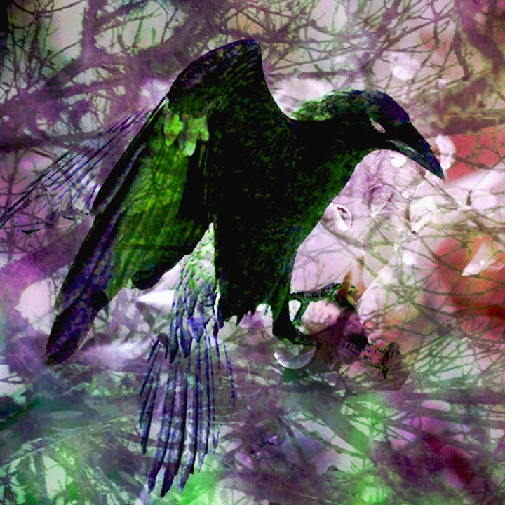 Digital Photo - "Portals: Warrior" - 5x5, Layered Composite, Tree and Birds