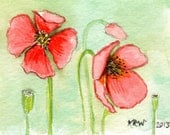 ACEO - Matted Original Watercolor Collectible - Fire Poppy
