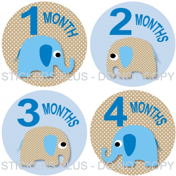 Monthly Onesie Stickers Baby Boy Circles Jungle Zoo Elephant Blue Brown Dots - 1-12 Months Plus Just Born - Gift
