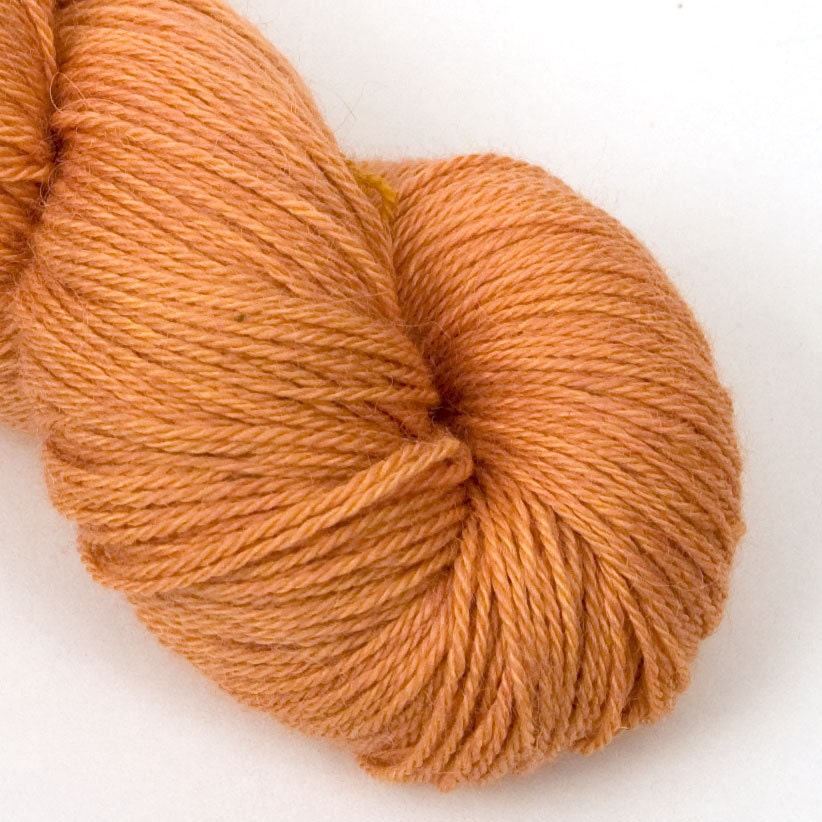 Cloud Fingering Yarn in Dried Apricots