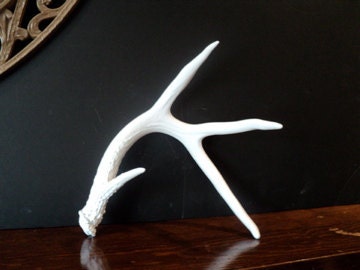 Bright White Modern Painted Antler