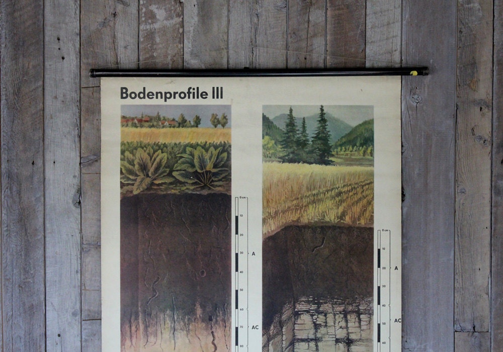 Bodenprofile (Soil Profile) Wall Chart