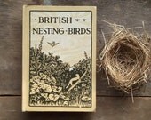 1910s bird book British Nesting Birds - EAGERforWORD