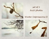Winter nature, earthy colours, textured fine art photo, snow, brown, set of 3, Giclee print, 10x8, titled: Winter Impressions II