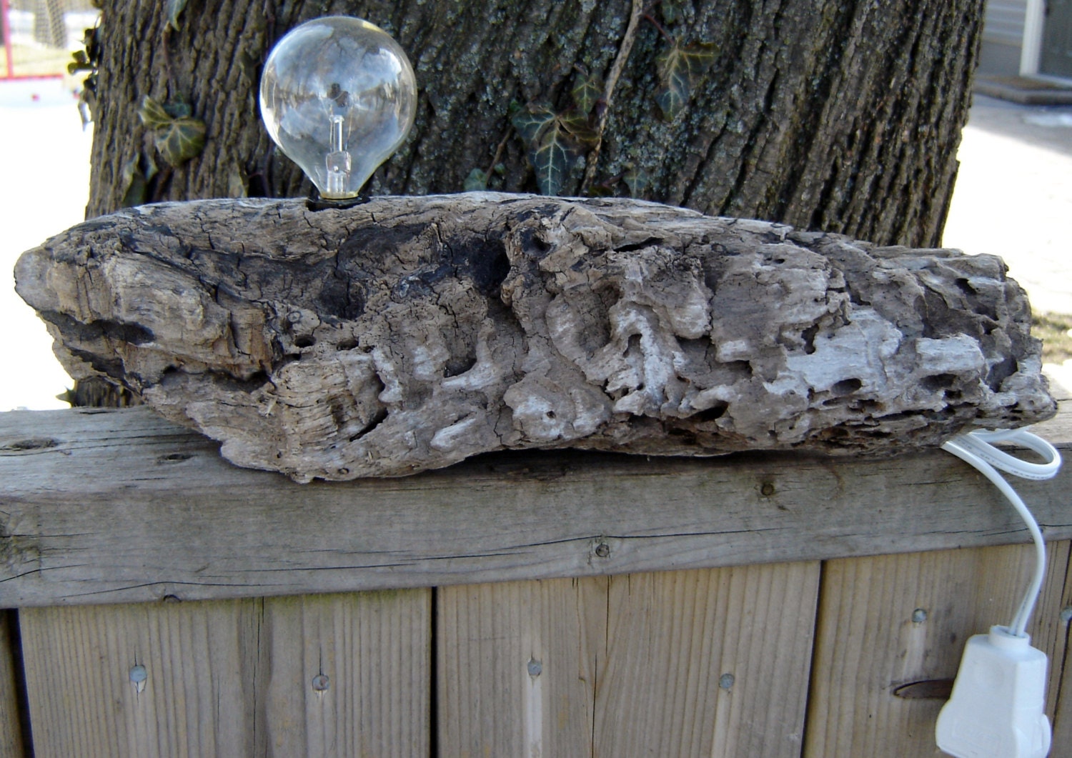 Fragment Driftwood Light