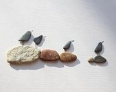 Pebble Art of NS by Sharon Nowlan