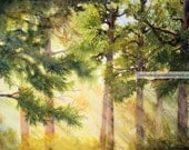 Original Watercolor Painting Forest Landscape Signed COA 15x22 Free US Shipping