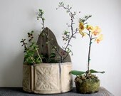 Beefy Wall Planter - Hand Made of Barn Wood and Antique Tin Tiles - Gothic Style