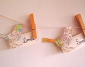 Place Cards, Escort Cards, Map Theme, Map Bird, Destination Wedding, Bird Place Cards, Travel Theme, Set of 25, Cream Card Stock, Bird Theme