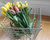 Vintage French Oyster Basket