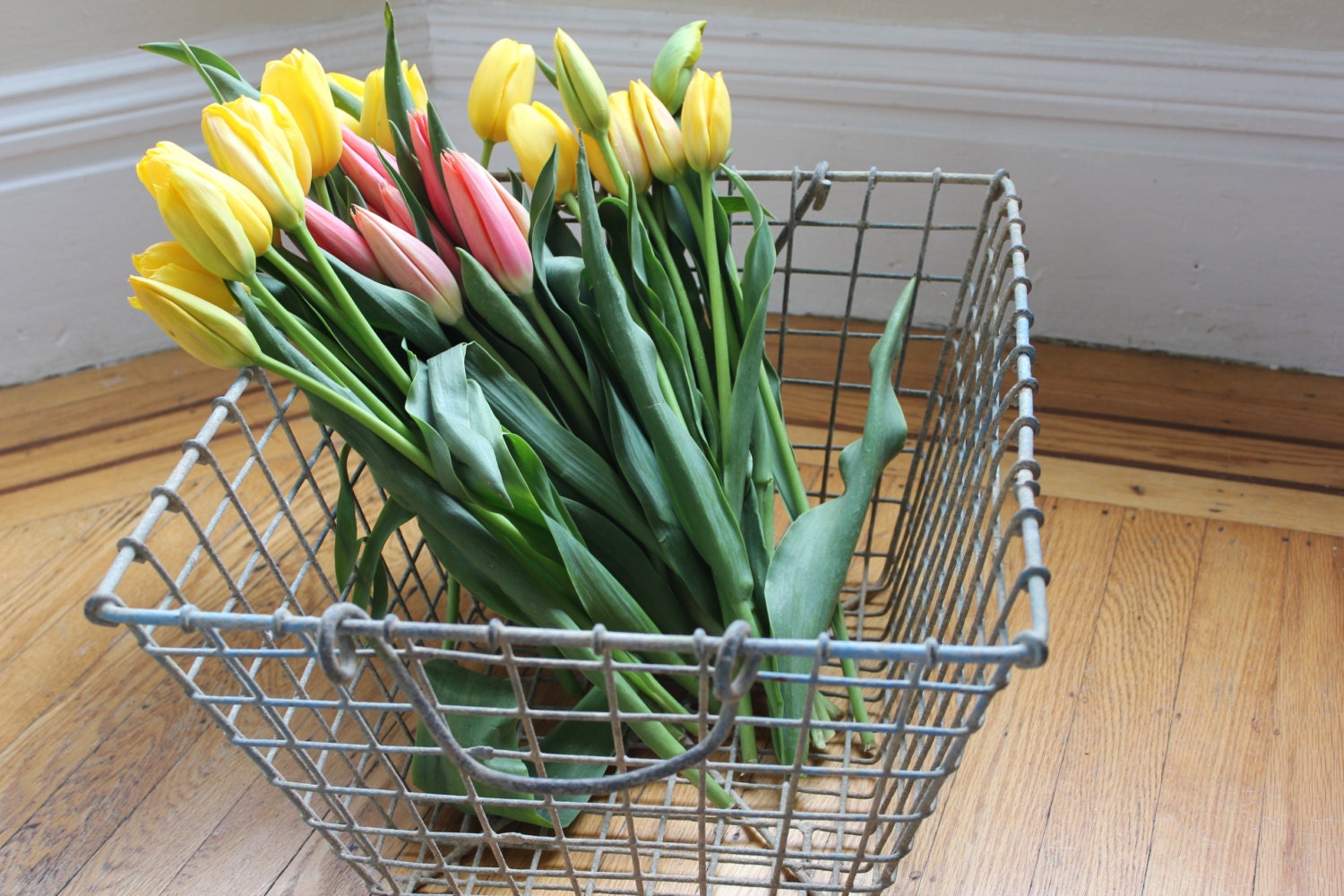 Vintage French Oyster Basket