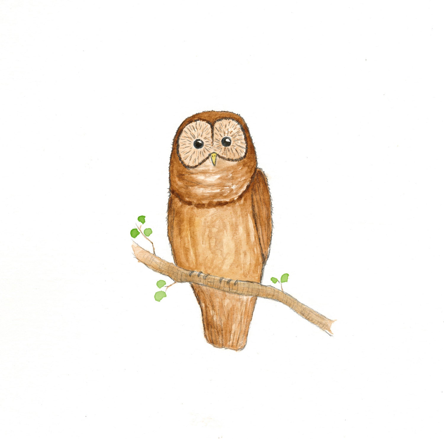 SALE - 15% OFF - Owl Watercolor Painting - 8 x 10