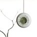 Air Planter - Medium Handmade Fine White Porcelain