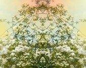 Sale - Buy 2 Get 1 Free - Nature Art Print Poster- Empress - 15x15  -  Open Edition