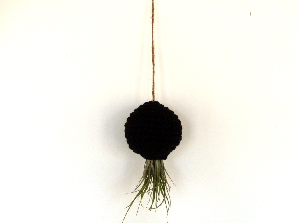 Hanging Container For Kolbii Air Plant - Black